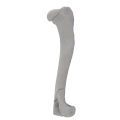 renderowanie kosci.388