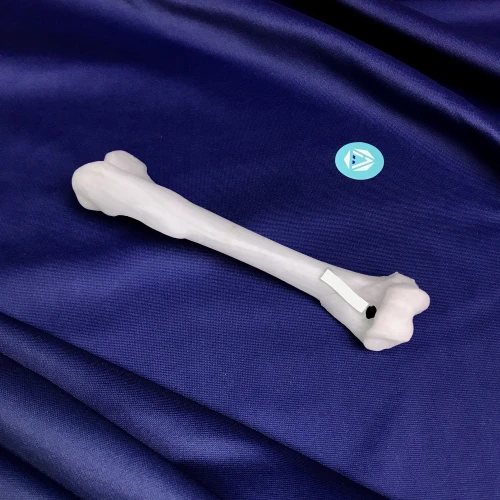 renderowanie kosci.395