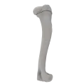 renderowanie kosci.387