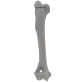renderowanie kosci.392