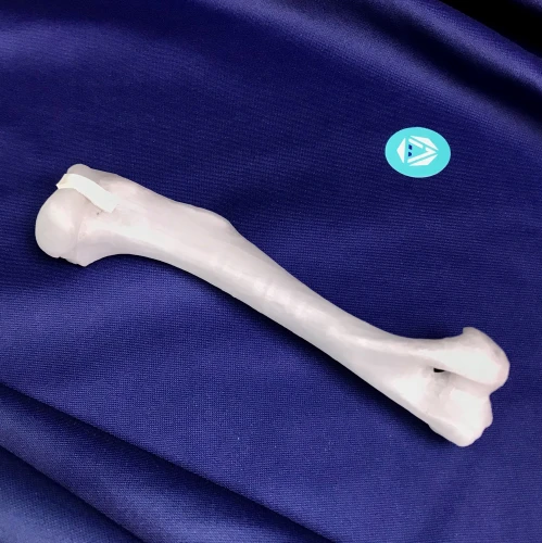 renderowanie kosci.387