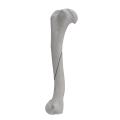 renderowanie kosci.383