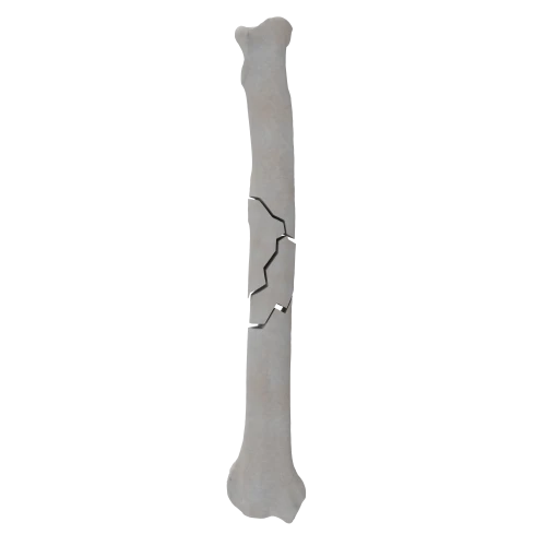 renderowanie kosci.283