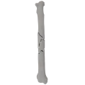 renderowanie kosci.287