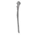 renderowanie kosci.297