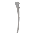 renderowanie kosci.298