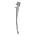 renderowanie kosci.303