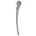 renderowanie kosci.311