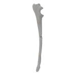 Ulna - Canine - Fracture 22-B1 acc. to AOVet