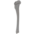 renderowanie kosci.360