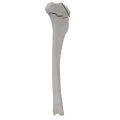 renderowanie kosci.359