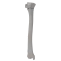 renderowanie kosci.357
