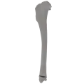 renderowanie kosci.380