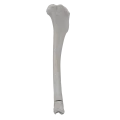 renderowanie kosci.379