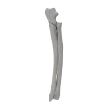renderowanie kosci.402