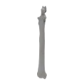 renderowanie kosci.405