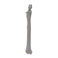 renderowanie kosci.426
