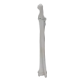renderowanie kosci.434
