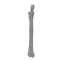 renderowanie kosci.440