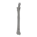 renderowanie kosci.445