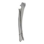 Radius and Ulna - Canine - Fracture 22-A2 acc. to AOVet