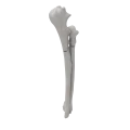 renderowanie kosci.451
