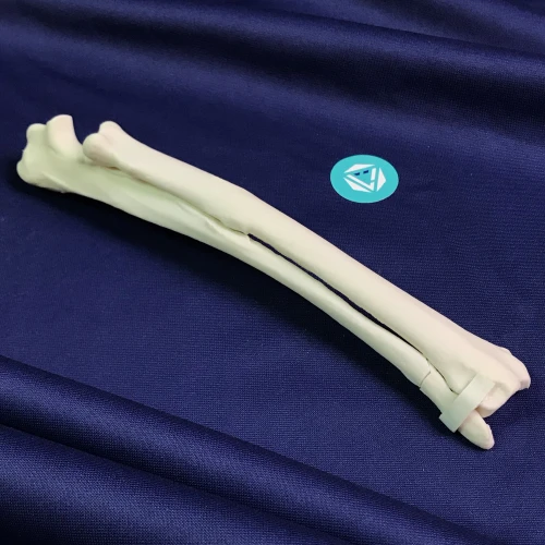 renderowanie kosci.456