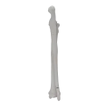 renderowanie kosci.454