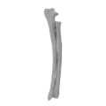renderowanie kosci.452