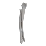 Radius and Ulna - Canine - Fracture 23-A2 acc. to AOVet