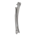 renderowanie kosci.463