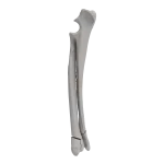 Radius and Ulna - Canine - Fracture 23-C1 acc. to AOVet