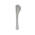 renderowanie kosci.485
