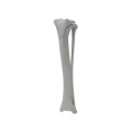renderowanie kosci.483