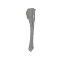 renderowanie kosci.513