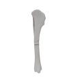 renderowanie kosci.512