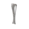 renderowanie kosci.514