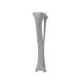 renderowanie kosci.510