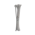 renderowanie kosci.511