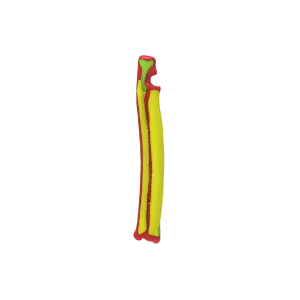 Colored Bone Map - Cat - Ulna & Radius