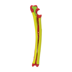 Colored Bone Map - Dog - Ulna & Radius