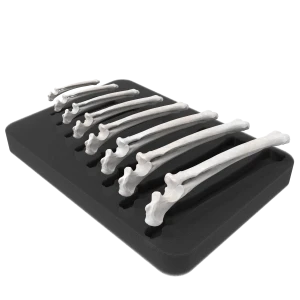 Premium Model Set for Plate Contouring  - Canine Left and Right Radius and Ulna