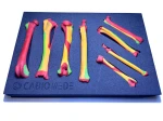 Colored Bone Map - Set of Dog & Cat Bones