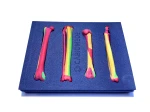 Colored Bone Map - Set of Cat Bones