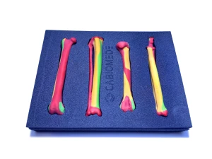 Colored Bone Map - Set of Cat Bones