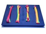 Colored Bone Map - Set of Dog Bones