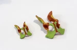 Colored Bone Map - Cat - Pelvis