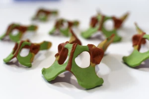 Colored Bone Map - Dog - Pelvis