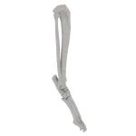 Cat - Tarsal Joint (Ankle)
