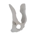 11-a2.315.png